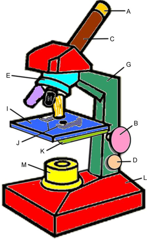 Parts Of A Microscope Worksheet - ClipArt Best