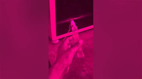 king youtube