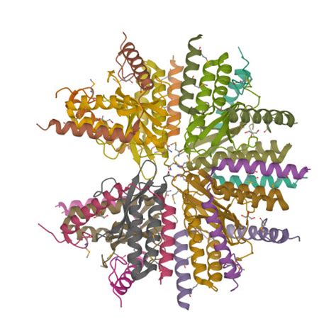 Rcsb Pdb Cw Crystal Structure Of The Paaa Pare Antitoxin Toxin