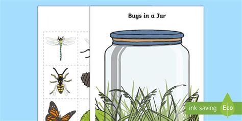 Bugs In A Jar Counting Resource Ks Primary Resource