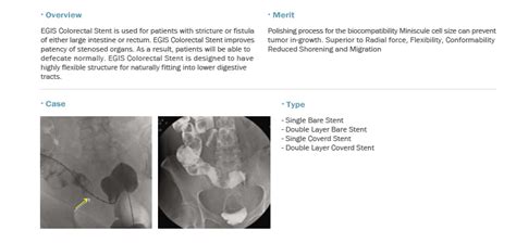 Egis Colorectal Stent Bvm Medical