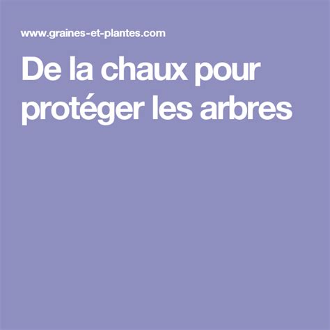 De la chaux pour protéger les arbres Chaux Arbre Chaux vive