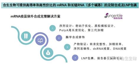 一文读懂mRNA疫苗体外合成关键技术 知乎