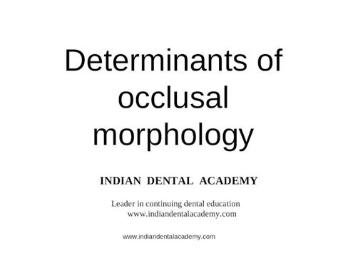 PPT Determinents Of Occlusion Morphology Certified Fixed Orthodontic