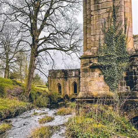 Fantastic Facts About Fountains Abbey - History with Henry