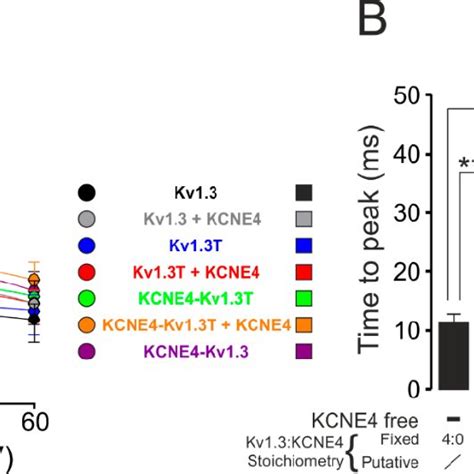 Analysis Of Kv1 3 Activation Kinetics HEK 293 Cells Were Transfected