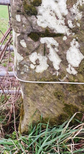 Benchmark On Gatepost On North Side Of Roger Templeman Geograph