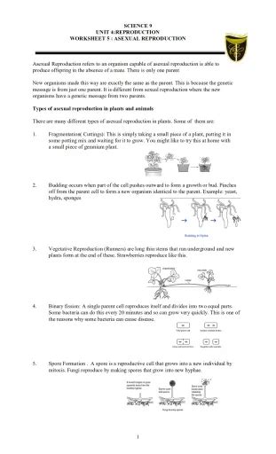 Dichotomous Key Tree Worksheet Interactive Worksheet Edform