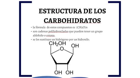 Estructura Molecular De Los Carbohidratos