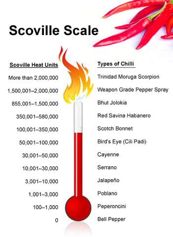 Scoville Scale – REAL LiFE RUBS