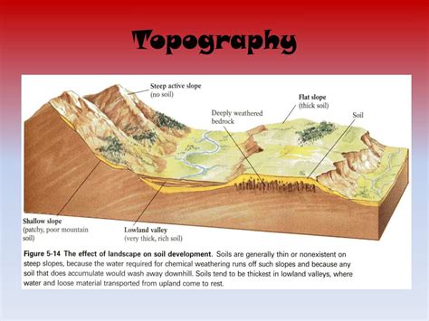 Ppt Soil Formation Powerpoint Presentation Free Download Id2788760