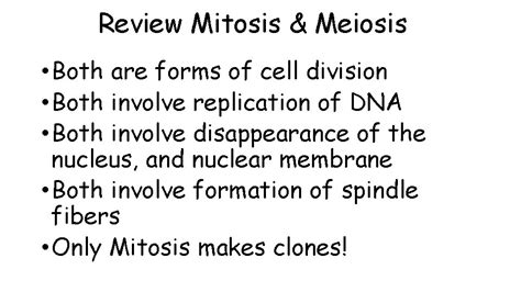 Meiosis Making Gametes Sex Cells Review Asexual Reproduction