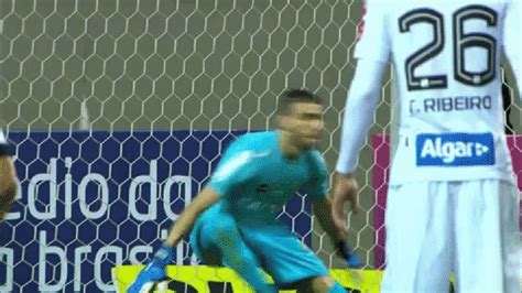 Veja Por Que Escalar O Goleiro Vanderlei No Cartola Quase Garantia De