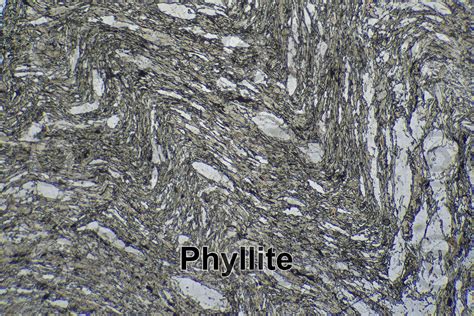 Phyllite Valdiola Marche Italy Thin Section In Plane Polarized