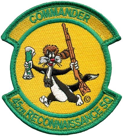 45th RECONNAISSANCE SQUADRON – COMMANDER | Flightline Insignia