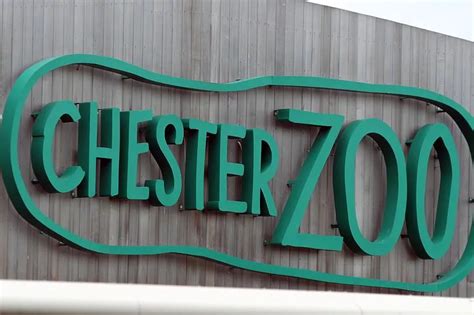 Chester Zoo Logo