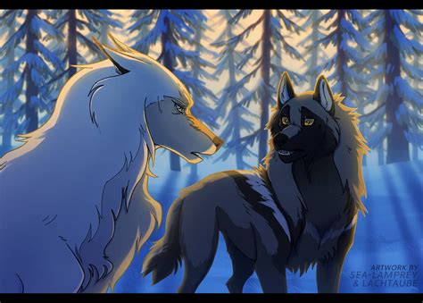 dotw revelation  lachtaube  deviantart