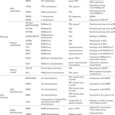 A model for epigenome regulation in the transcribed regions of ...