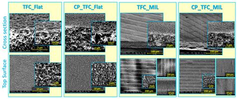 Membranes Free Full Text Influence Of Surface Micro Patterning And Hydrogel Coating On