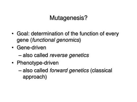 PPT - Mouse mutagenesis PowerPoint Presentation, free download - ID:3294047