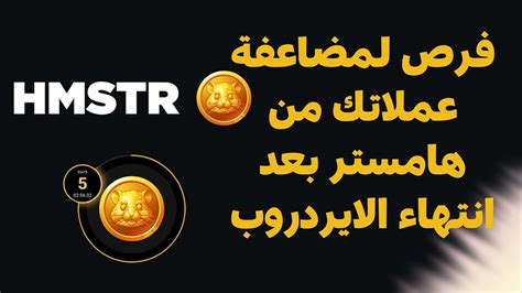 فرص لمضاعفة عملاتك من هامستر HMSTR بعد انتهاء الايردروب YouTube