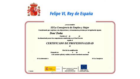 Solicitud Certificado De Profesionalidad Sepe En Pdf