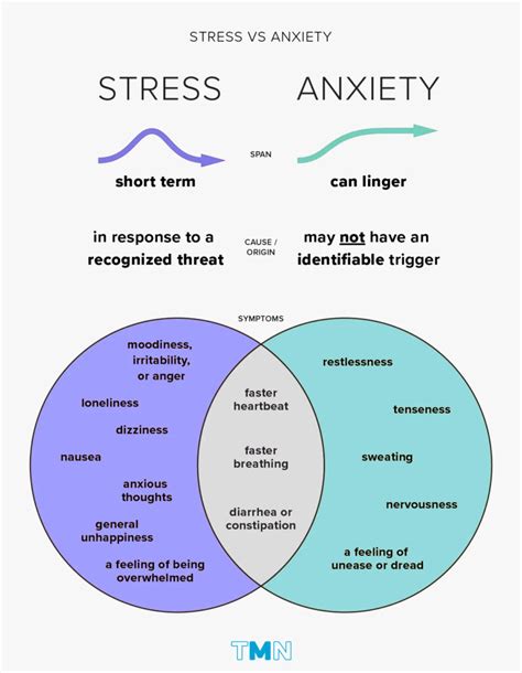 Stress Vs Anxiety Differences Symptoms And Relief