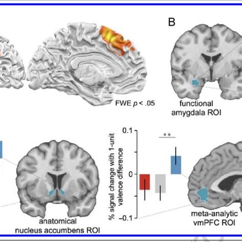 A Connectivity Between VmPFC Seed Region And Amygdala Is Enhanced For