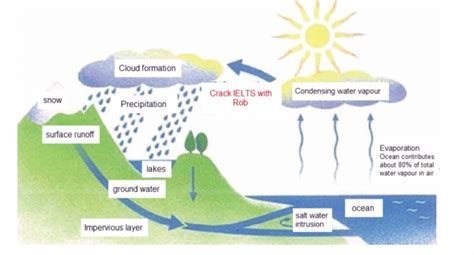 The Diagram Below Shows The Water Cycle Which Is The Continuous