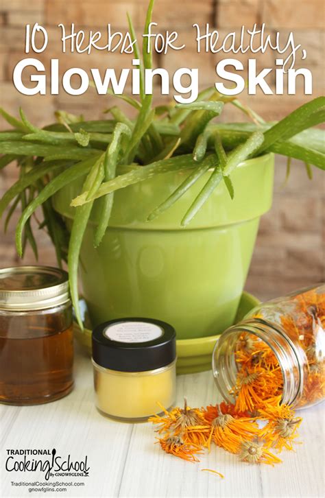 10 Herbs For Healthy Glowing Skin Traditional Cooking School