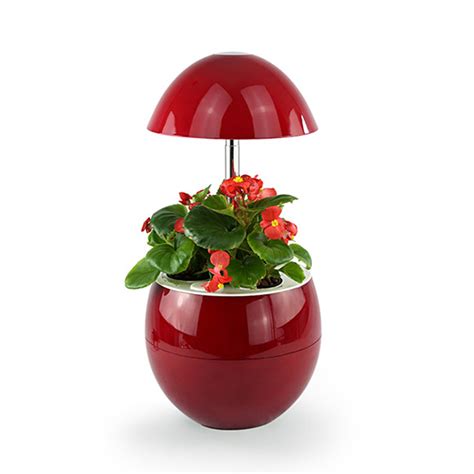 Smart Plant Pot-Red - Obor Free Delivery Available in UAE