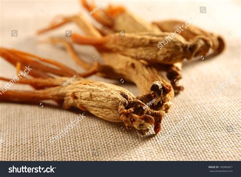 Dry Ginseng Roots Stock Photo 160484921 : Shutterstock