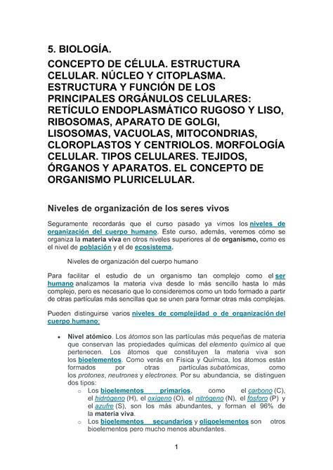 5 Biologia Concepto De CÉlula Estructura Celular NÚcleo Y Citoplasma Estructura Y FunciÓn