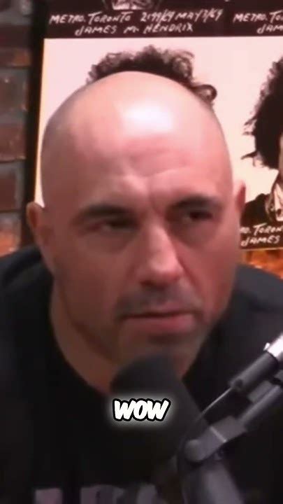 Joe Rogans Brain Explained In 15 Seconds Jre Jreclips