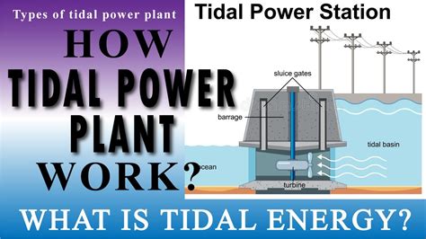 Diagram Of Tidal Power Plant Tidal Energy Generation Worki