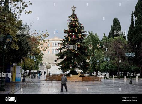 The Real 15 Meters High Christmas Tree At Syntagma Square In Athens