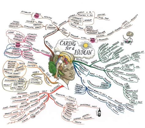 Caring For A Human Mind Map Mind Map Art Mind Map Human Mind