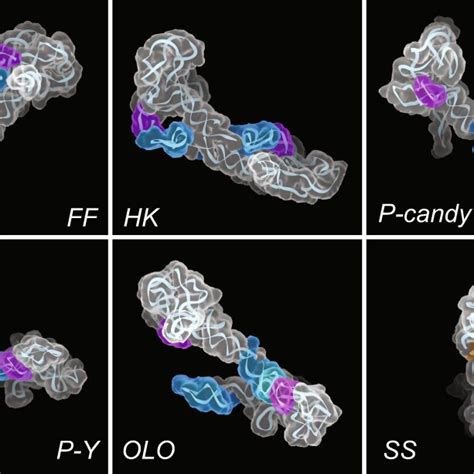 Recapitulated 3d Topological Structures Of The Rcbl Heterogeneous