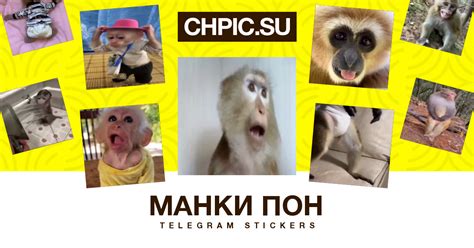 Манки Пон Telegram video stickers