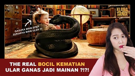 BOCIL KEMATIAN JANGAN DILAWAN Alur Cerita Film Oleh Klara Tania