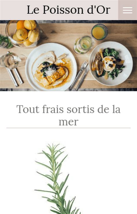 Templates | Webador.fr 