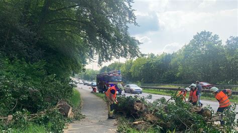 Umst Rzender Baum Verfehlt Auto In Hattingen Nur Knapp