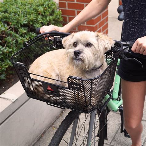 35 Top Photos Pet Bike Basket 20 Lbs Petsafe Happy Ride Tagalong