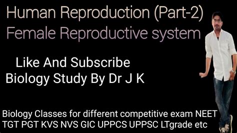 Female Reproductive System Human Reproduction Biology Theory Classes