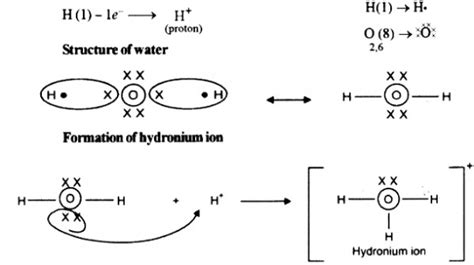 Hydronium Ion Lewis Structure