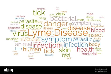 Lyme Disease Word Cloud Template Health And Medical Awareness Concept