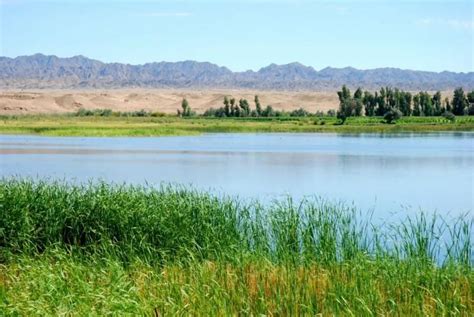 国际重要湿地 甘肃张掖黑河国际重要湿地：河西走廊荒漠内陆湿地 湿地保护