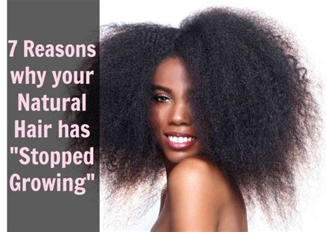 Natural Hair How To Grow Long Natural Hair Reasons Why Hais Has Stopped Growing Natural Hair