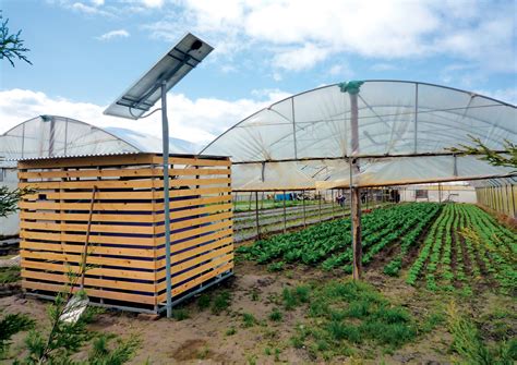 Rainwater Harvesting On A Farm In The Venice Lagoon Marguerite Kahrl