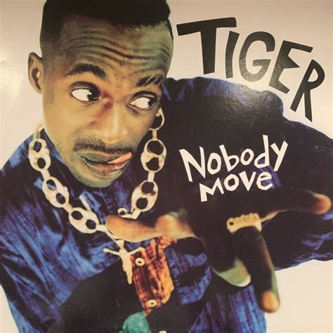 Tiger Nobody Move 12 キレイ！！ Fatman Records